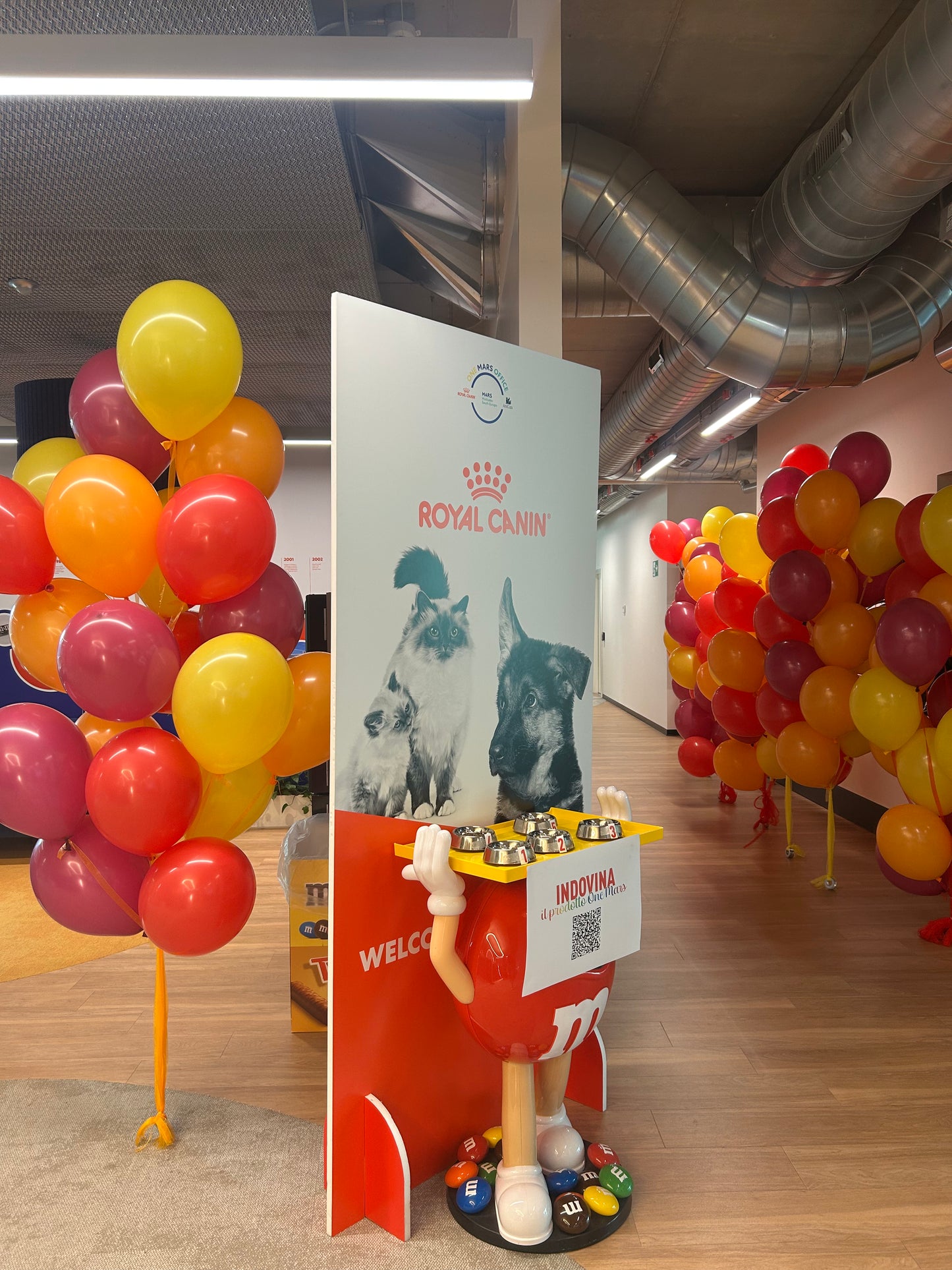 Bouquet di Palloncini ad Elio da 20 pezzi