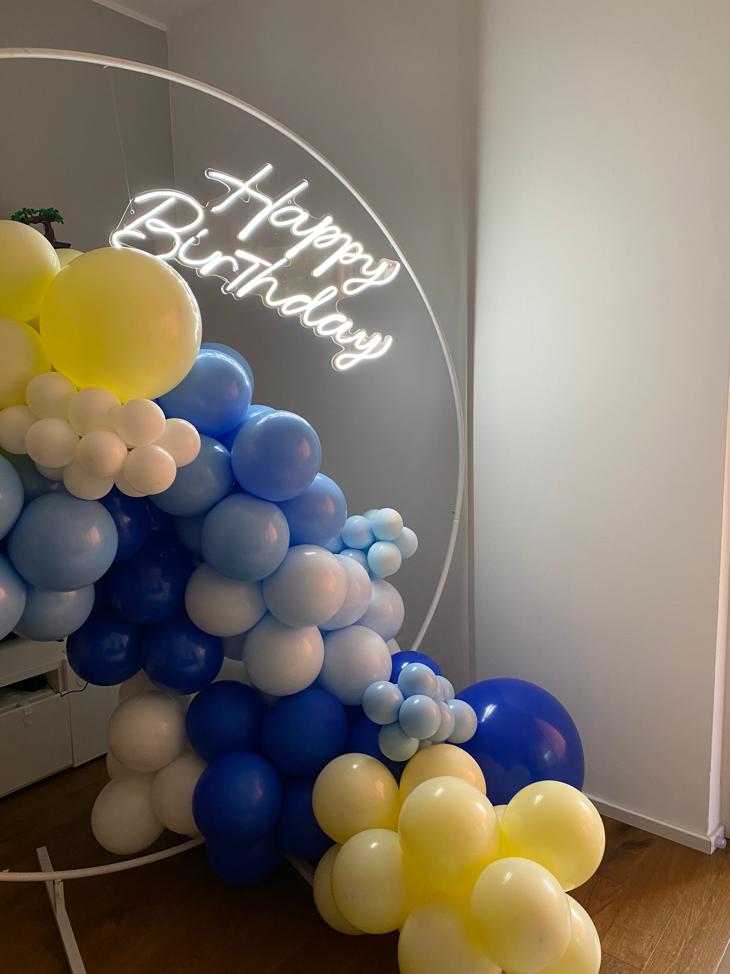 Cerchio di Palloncini Premium