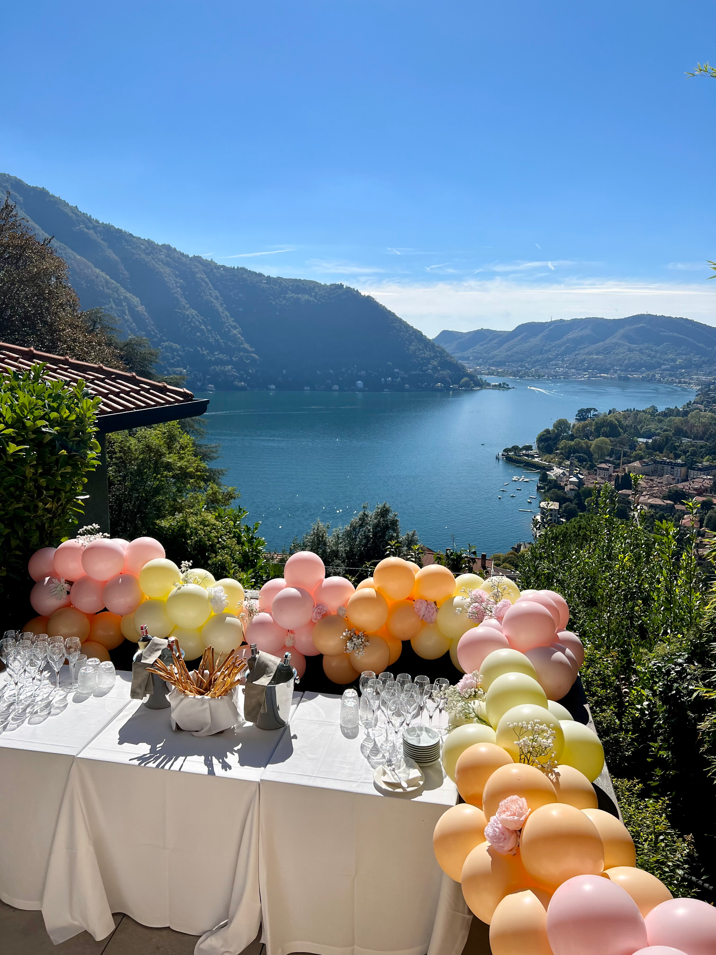 Ghirlanda di Palloncini Premium
